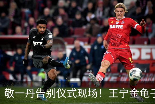 敬一丹告别仪式现场！王宁金龟子现身送别，多位主持人忍不住哭泣